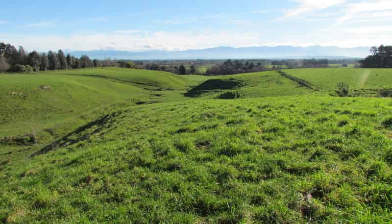 Wairarapa - Address withheld