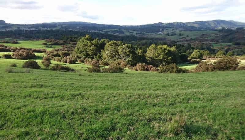  Jackson Road, Maunu