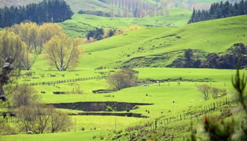  Riversdale Road, Riversdale