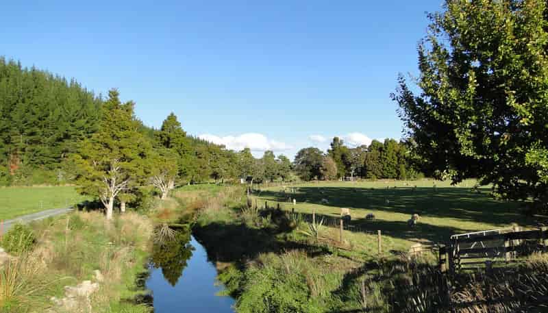 17 Gardner Valley, Mahana