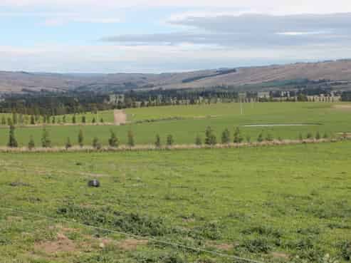 55 Smiths Road, Roxburgh East