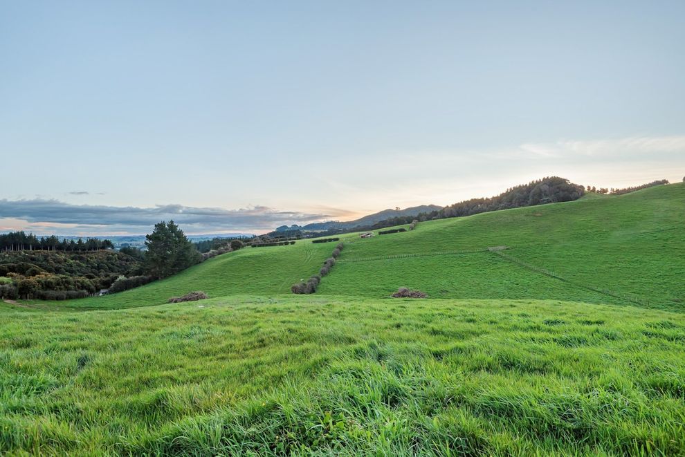 For sale 1 Elevated Hectare With Rural Views realestate.co.nz