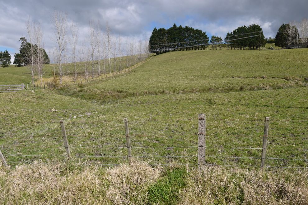 For sale Lifestyle Block realestate.co.nz