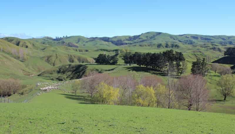 565 Te Awa Road, Waipukurau and Surrounds