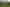 7 Sandys Street, Blackball