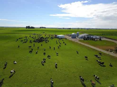 499 Rolleston Road, Clandeboye