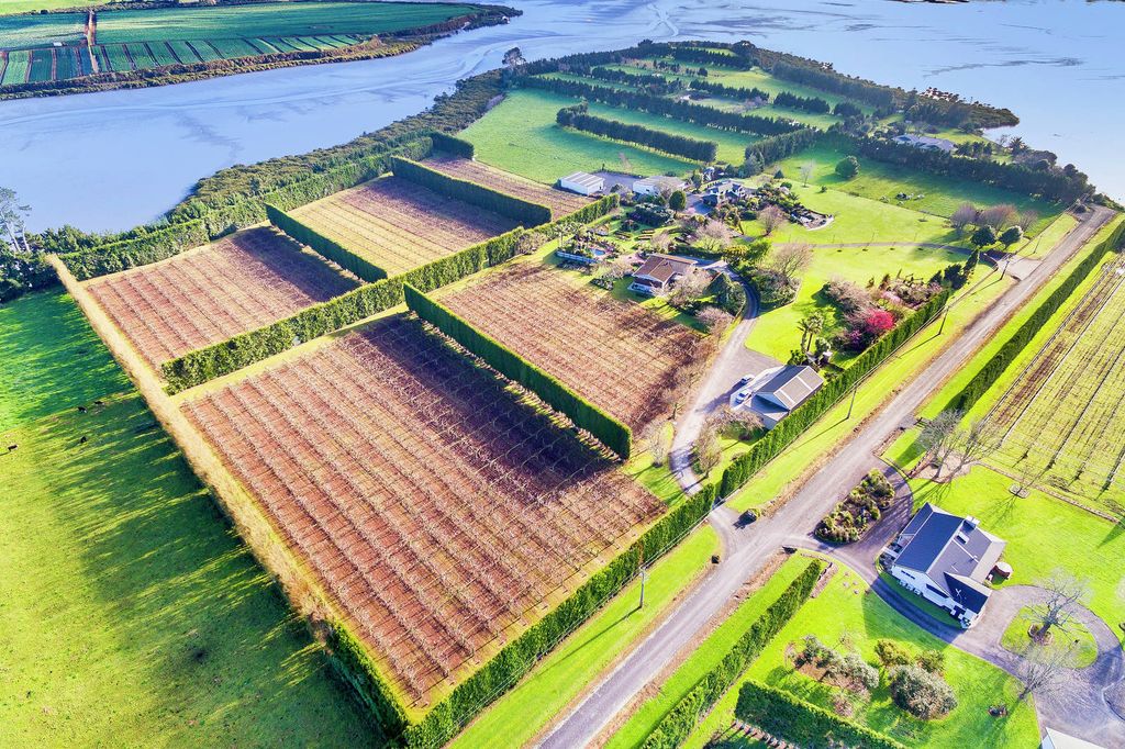 Property value 109 Marae O Rehia Road, Waiuku realestate.co.nz