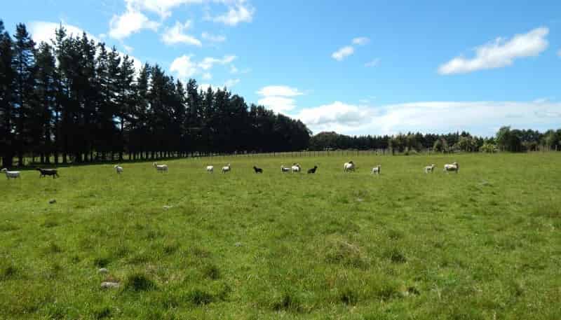 832E Chester Road, Carterton