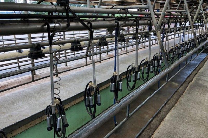 Property value 432 Ingahape Road, Manutahi realestate.co.nz