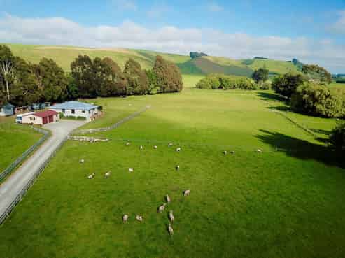 481 Hilderthorpe-pukeuri Road, Pukeuri