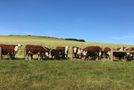 4352 Sutton-clarks Junction Road, East Otago, Dunedin City, Otago