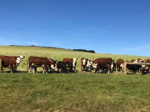 4352 Sutton-clarks Junction Road, East Otago