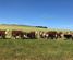 4352 Sutton-clarks Junction Road, East Otago, Dunedin City, Otago