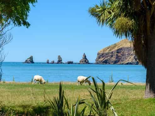 386 Decanter Bay Road, Little Akaloa