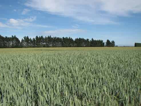 640 Stranges Road, Eiffelton