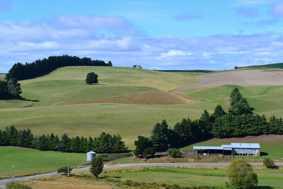 For sale Craigburn - Tokarahi - realestate.co.nz