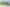 New Te Rapa Park Opportunity
