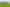150 Timaru-temuka Highway, Levels