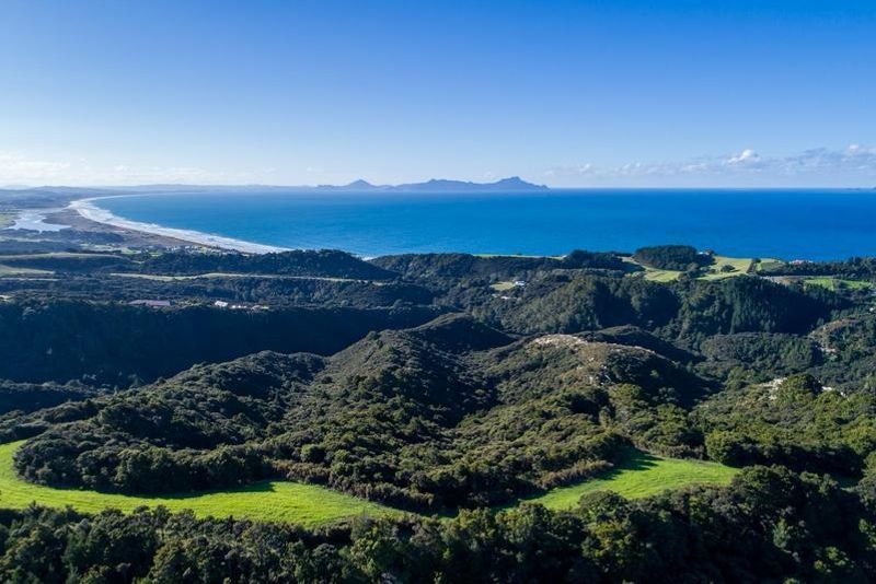 For sale 53ha Waipu Cove, Spectacular Sea Views realestate.co.nz