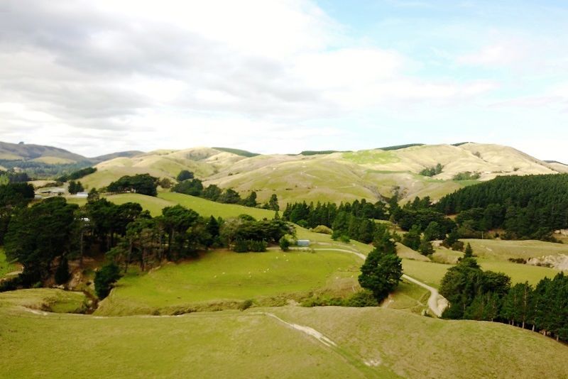 For sale 966 Oporae Rd, Dannevirke realestate.co.nz