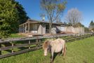 97 Tarena Street, Mamaku, Rotorua, Bay of Plenty