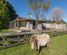 97 Tarena Street, Mamaku, Rotorua, Bay of Plenty