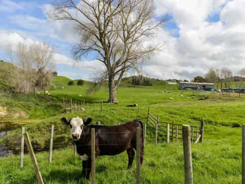 1292 Dartmoor Road, Dartmoor