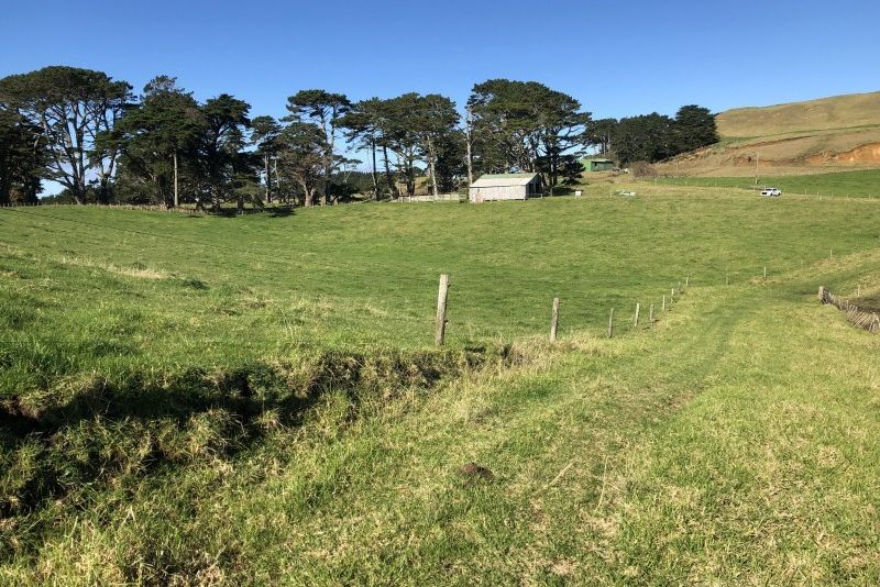 For sale Pinaki Road, Te Kopuru realestate.co.nz