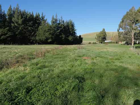 30 Princes Street, Waikari