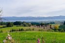 287A Millars Road, Gladstone, Carterton, Wairarapa