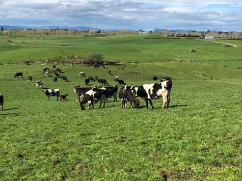 260B Bain Road, Ruawaro