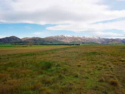 239 Nelsen Ridge Road, Clyde