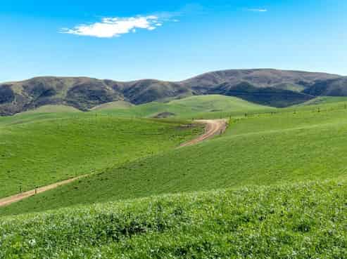 513 Clarkesfield Road, Elephant Hill