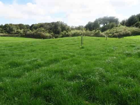 406 Albert Road, Korito