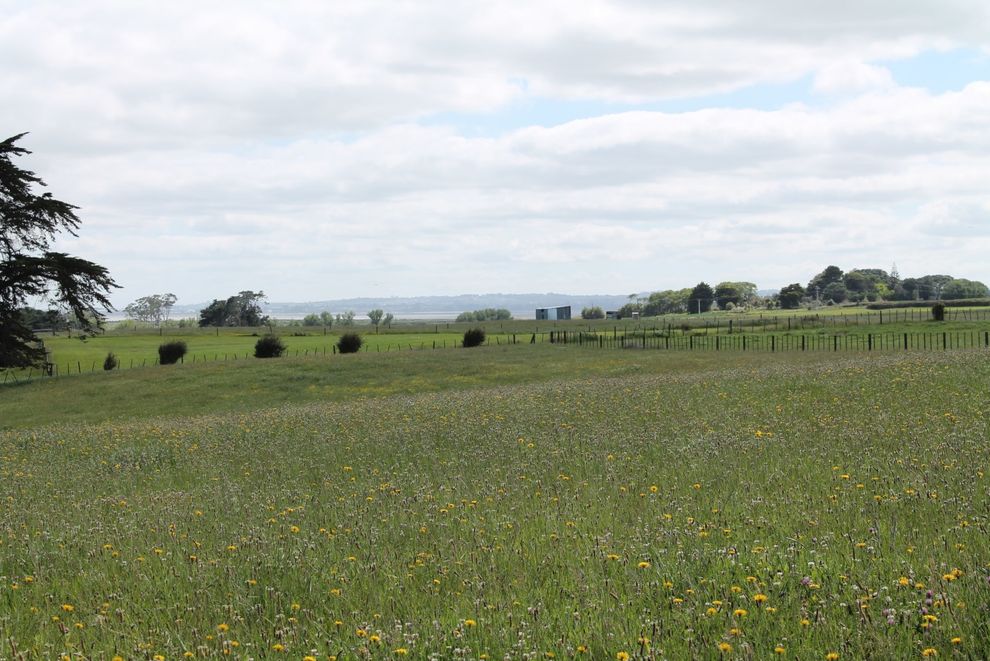 For sale Stunning Bare Land Buy One or the Other or Bo...
