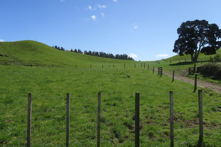 For sale 2 Bare Land Blocks realestate.co.nz