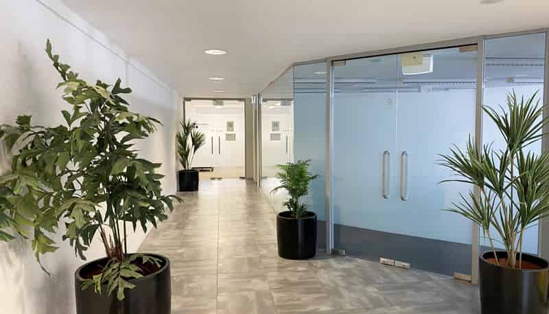 Suite 6/L1, 89 Grey Street, Tauranga