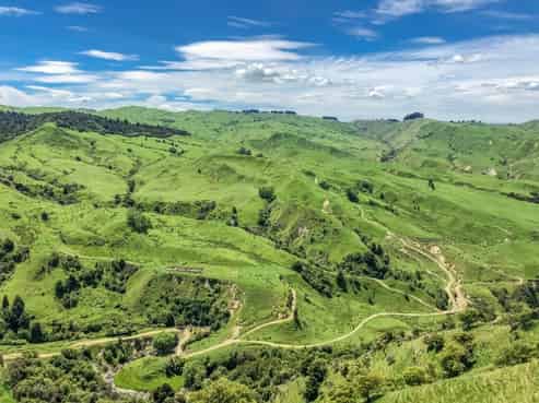 119 Painga Road, Wairoa Country