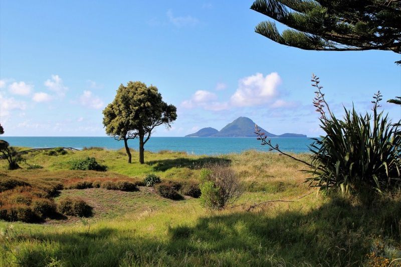 For sale Coastlands Sections, Coastlands realestate.co.nz