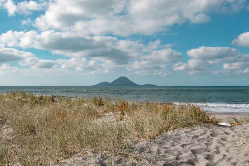 For sale Coastlands Sections, Coastlands realestate.co.nz