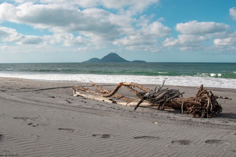 For sale Coastlands Sections, Coastlands realestate.co.nz