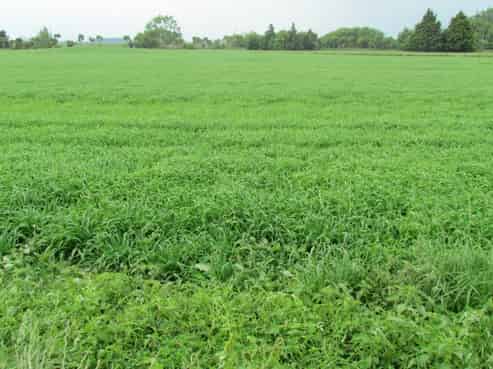 1083 Makirikiri Road, Turakina