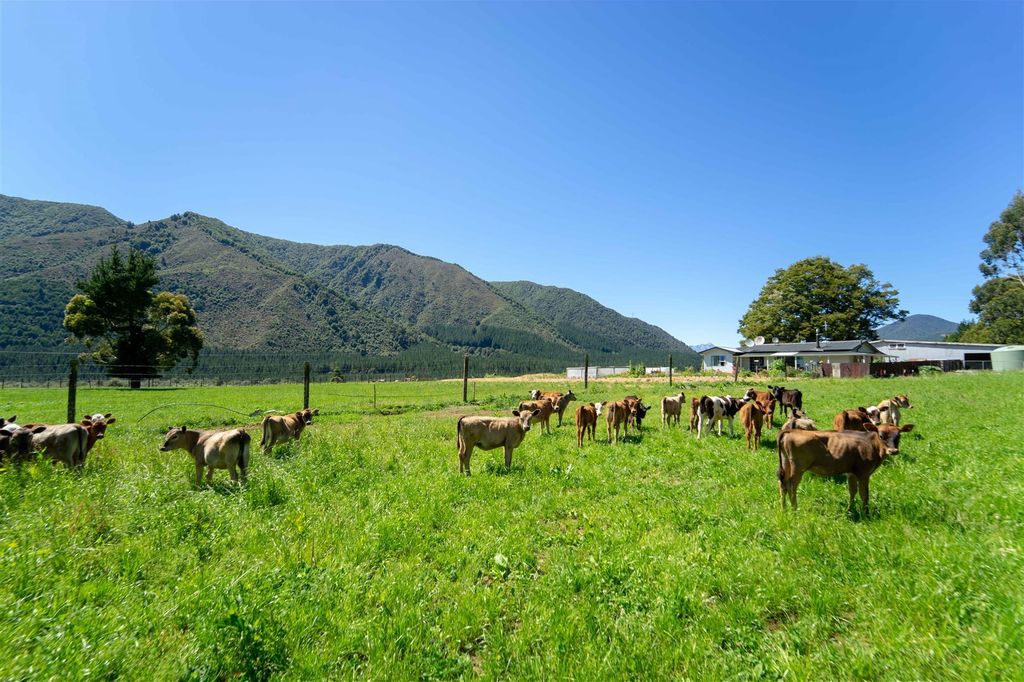 Property value 614 Gowan Valley Road, Murchison realestate.co.nz
