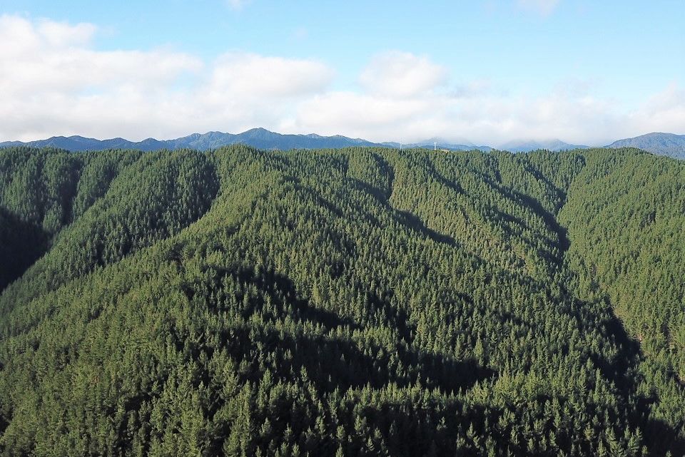 For sale Levin, Levin realestate.co.nz