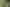 400m² Cheap Clean Yard in Kumeu!
