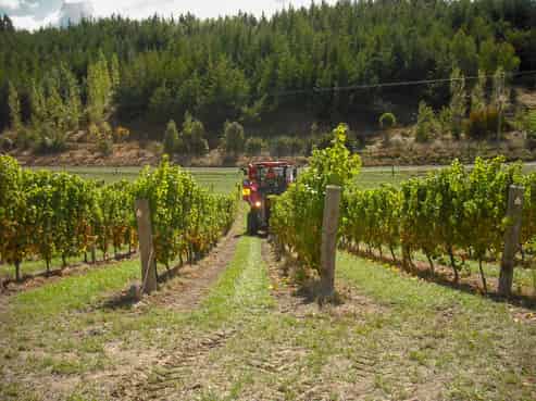 487 Brookby Road, Fairhall