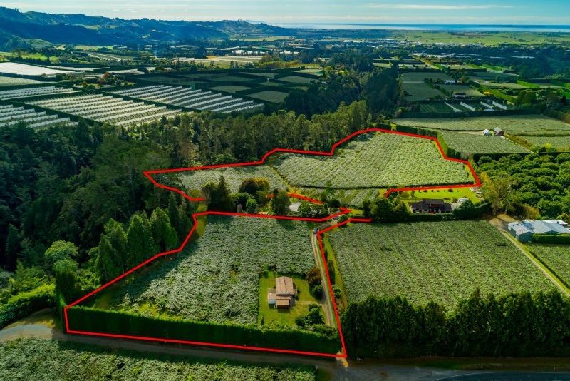 For sale 496 No.3 Road, Te Puke realestate.co.nz