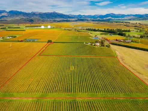 96 Shandon Road, Waihopai Valley