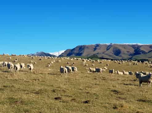 171 Monavale Road, Albury