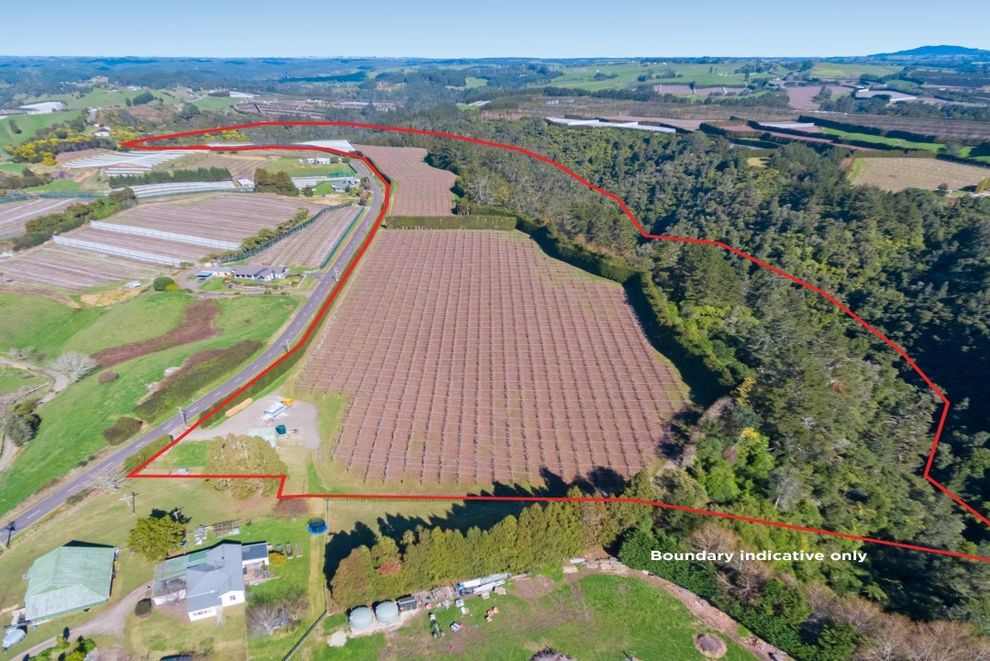 For sale 488 Maungarangi Road, Te Puke realestate.co.nz